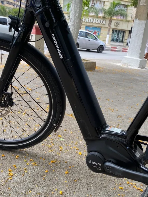 Vélo électrique 