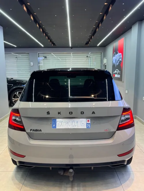 Skoda Fabia 2021 Monte carlo