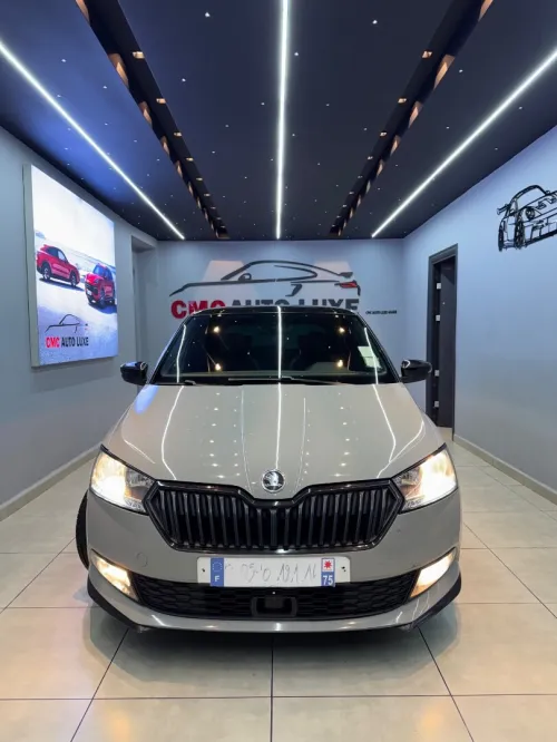 Skoda Fabia 2021 Monte carlo
