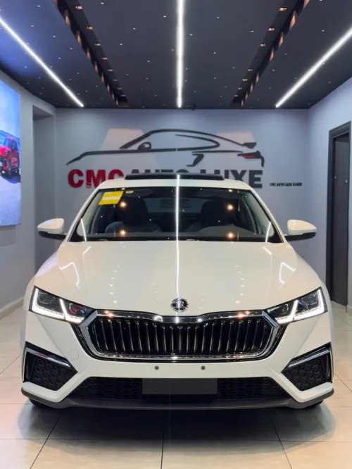 Skoda Octavia 2024 Pro