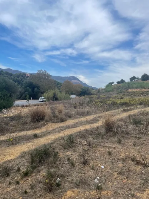 Vente Terrain Tipaza Cherchell