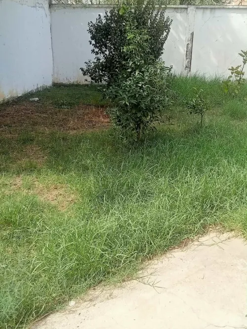 Jardinier 