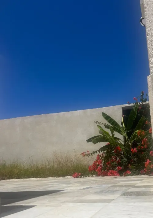 Location Appartement F3 Skikda Skikda