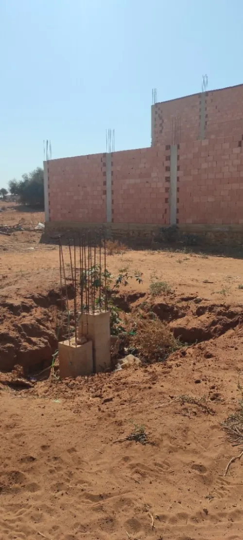 Vente Terrain Mostaganem Sayada