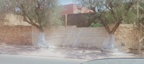 Vente Villa Sidi Bel Abbès Ain el berd