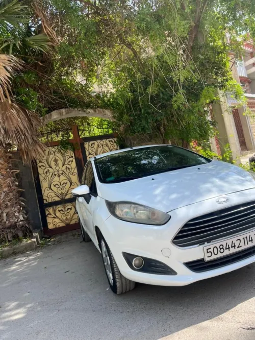 Ford Fiesta 2014 Trend Look