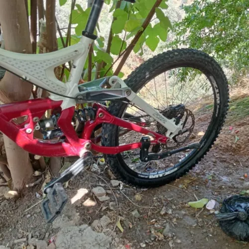 Specialized