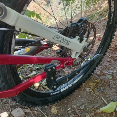 Specialized