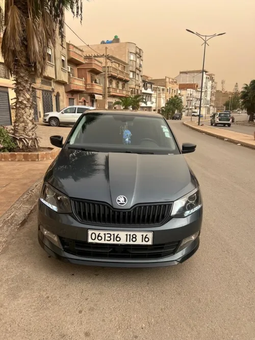 Skoda Fabia 2018 Monte Carlo