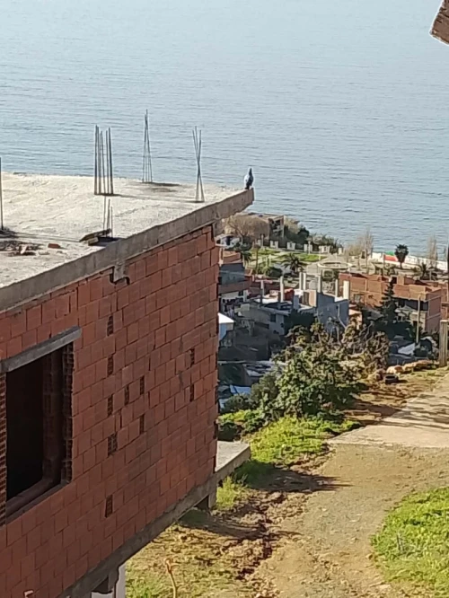 Vente Villa Tipaza Ain tagourait