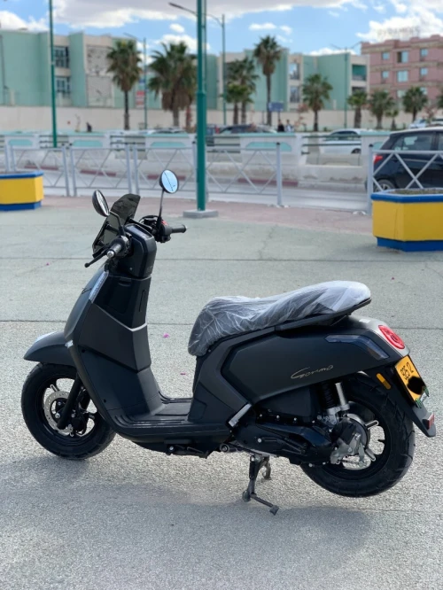 Vms Gemma 2025