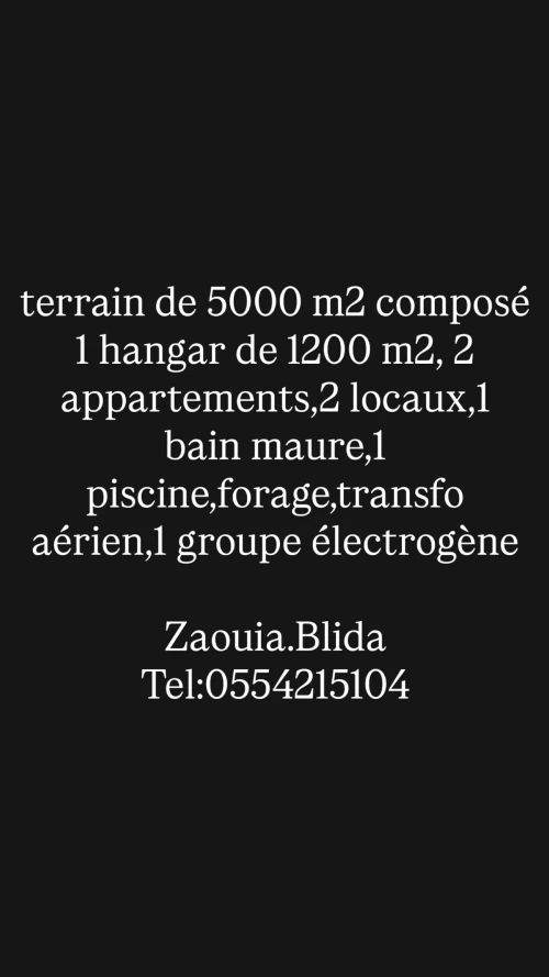 Vente Terrain Blida Beni tamou