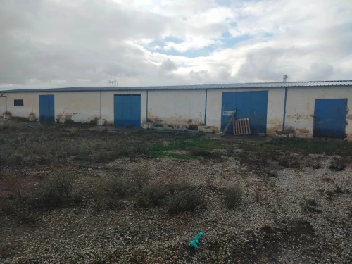 Vente Hangar Oum El Bouaghi Oum el bouaghi
