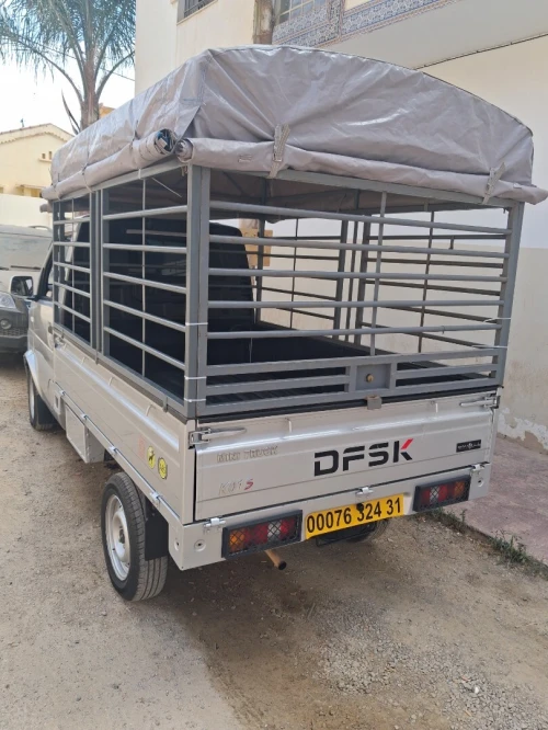 Chana Dfck 2024 