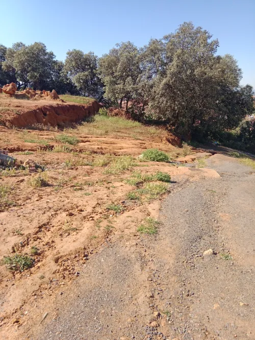 Vente Terrain Médéa Medea