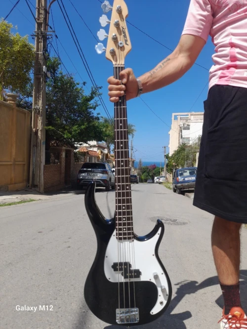 Guitare basse peavey milestone ivory 4