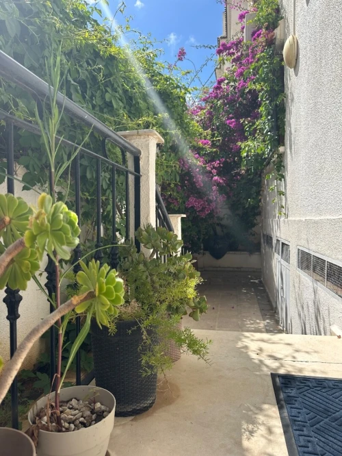 Vente Villa Alger Dely brahim