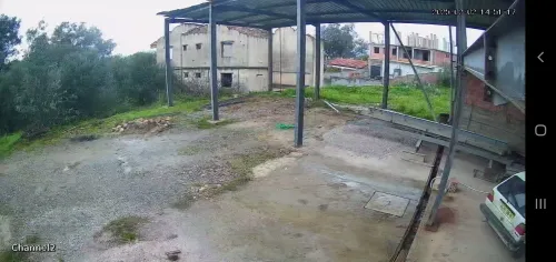 Location Hangar Tizi Ouzou Azazga