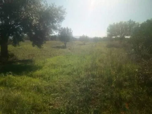 Vente Terrain Bouira Aghbalou