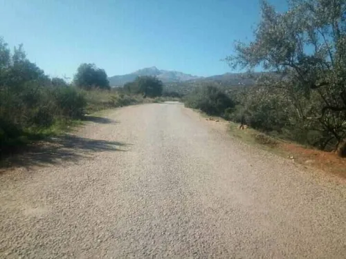Vente Terrain Bouira Aghbalou