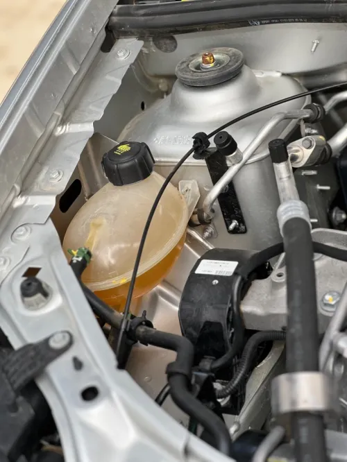 Renault Symbol 2019 Exception