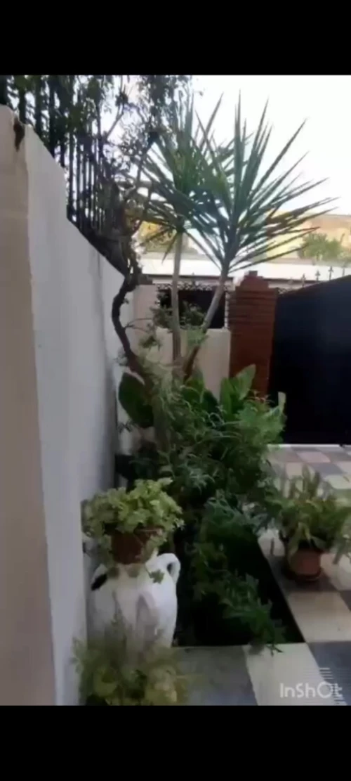 Vente Villa Guelma Guelma