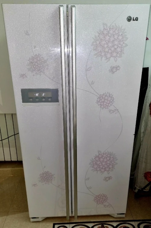 Refrigerateur LG 2 PORTE