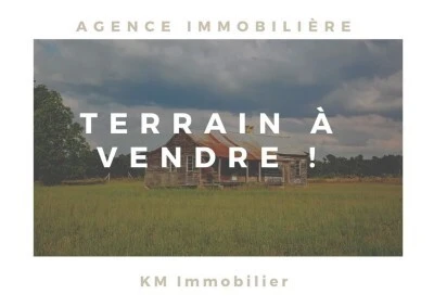 Vente Terrain Agricole Blida Beni tamou