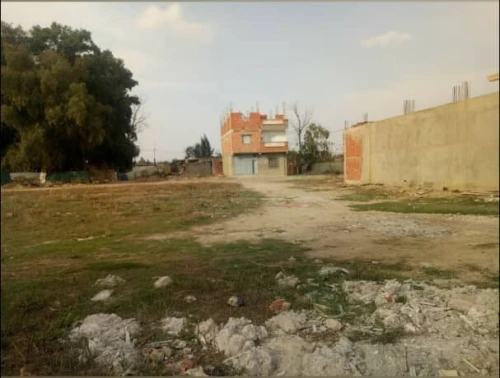 Vente Terrain Alger Tessala el merdja