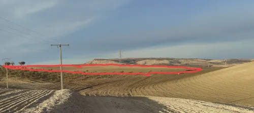 Vente Terrain Agricole Sidi Bel Abbès Sidi hamadouche