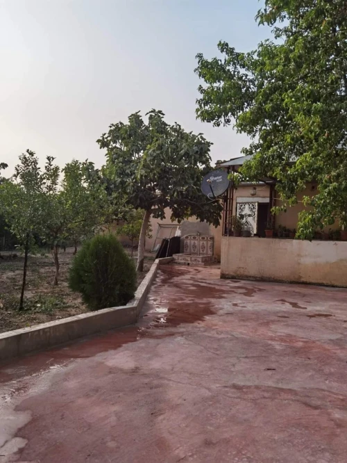 Vente bien immobilier Sidi Bel Abbès Telagh