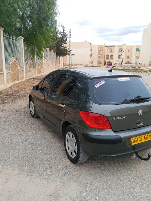 Peugeot 307 2007 Oxygo