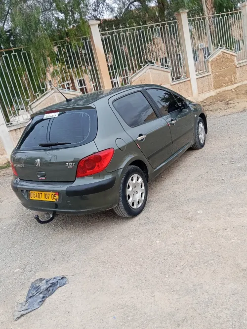 Peugeot 307 2007 Oxygo
