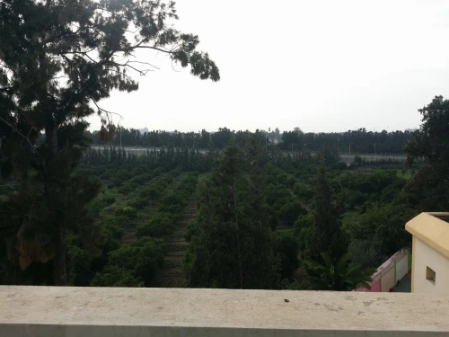 Location Appartement Niveau de villa F3 Alger Rouiba