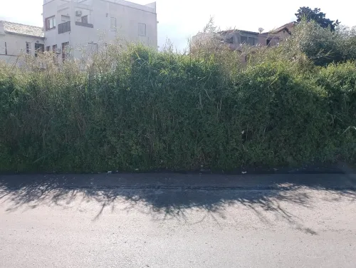 Vente Terrain Alger Hussein dey