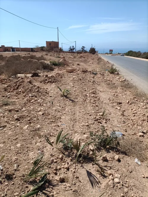 Vente Terrain Agricole Oran Gdyel
