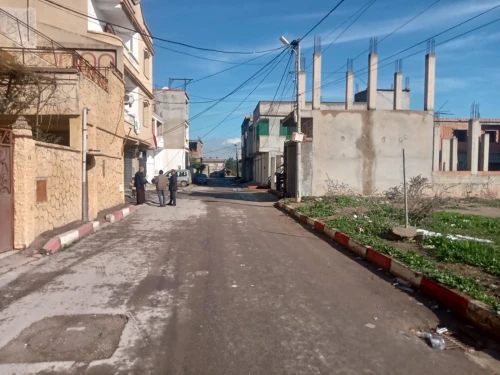 Vente Terrain Alger Tessala el merdja