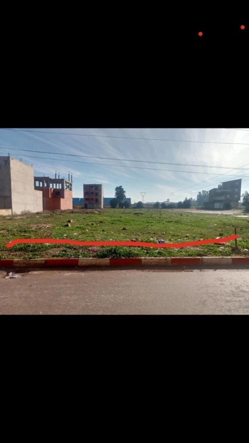 Vente Terrain Alger Tessala el merdja