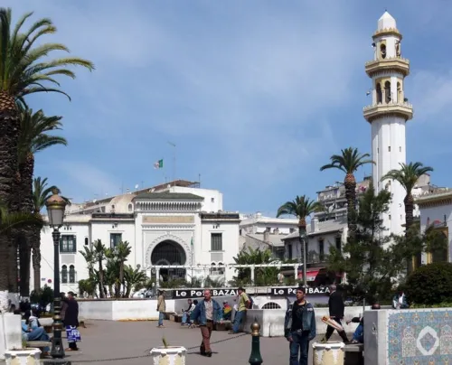 Vente Local Alger El biar