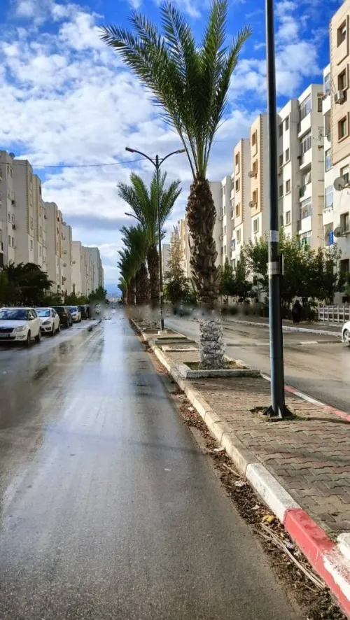 Location Appartement F3 Alger Baba hassen
