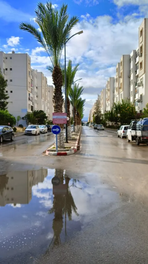 Location Local Alger Baba hassen