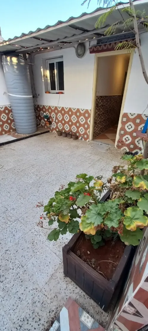 Location Appartement F2 Alger Staoueli 13
