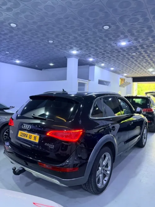 Audi Q5 2013 Offroad
