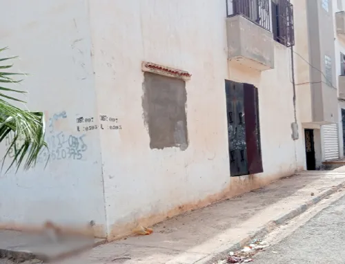 Location Local Aïn Témouchent Ain el arbaa