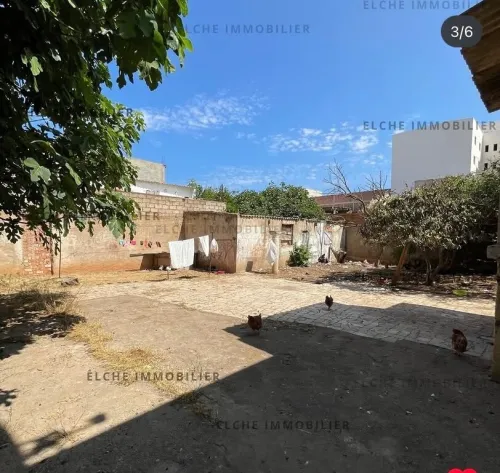 Vente Niveau De Villa F15 Oran Oran