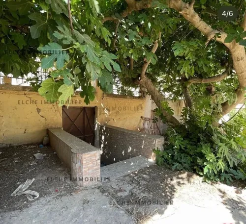 Vente Niveau De Villa F15 Oran Oran
