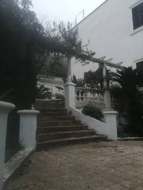 Vente Niveau De Villa F9 Alger Hussein dey