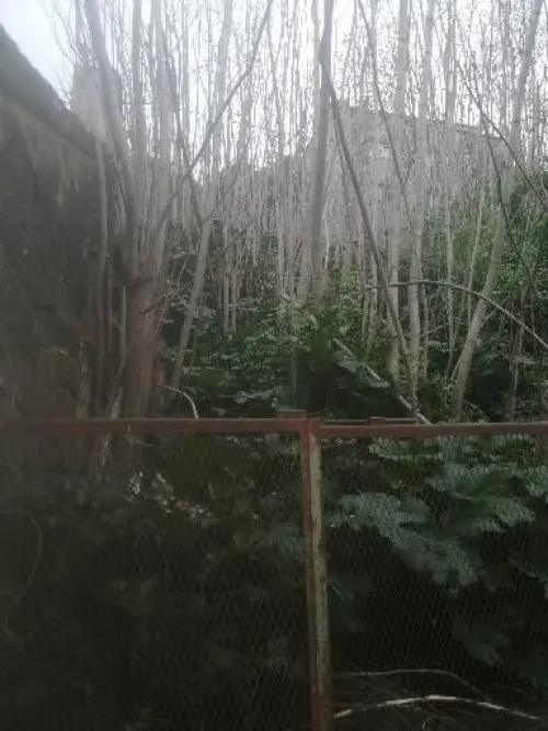 Vente Niveau De Villa F9 Alger Hussein dey