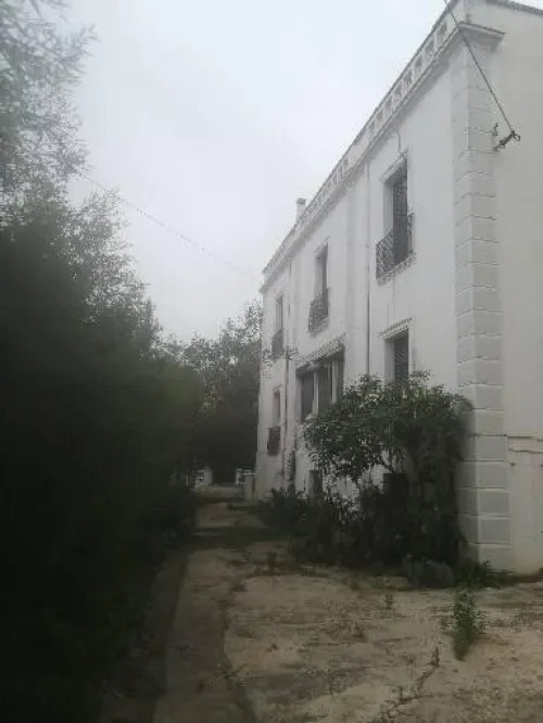 Vente Niveau De Villa F9 Alger Hussein dey