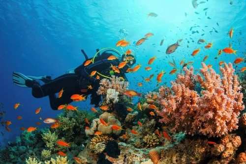 voyage organisé Hurghada 